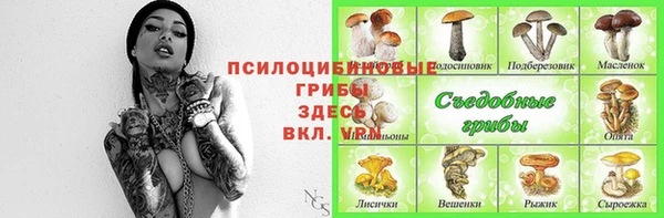 a pvp Горняк