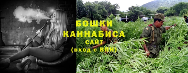 a pvp Горняк