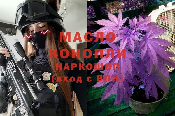 молекула духа Горнозаводск