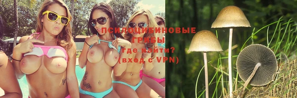 a pvp Горняк