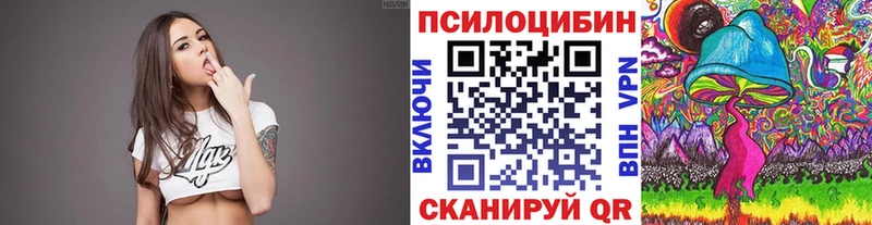 Псилоцибиновые грибы Psilocybe  Купить где  Любань 
